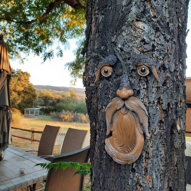 Handmade Unique Bird Feeders