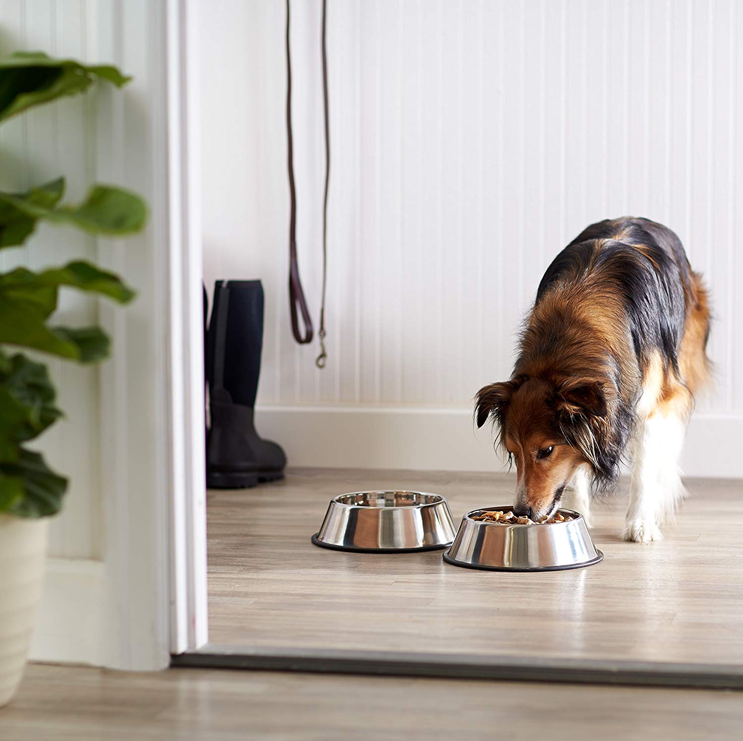 Stainless Steel Dog Bowl