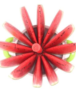 Fruits & Vegetables Slicer