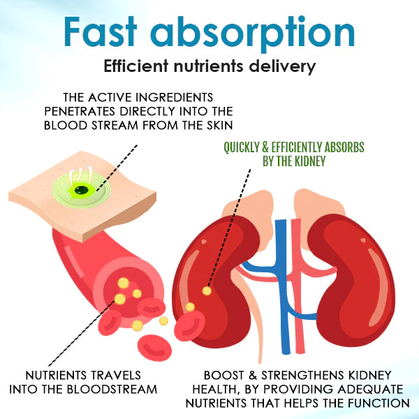 AEXZR Kidney Boost Patch