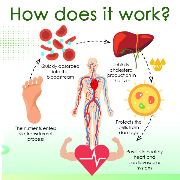 CardioCare Cholesterol Control Pads