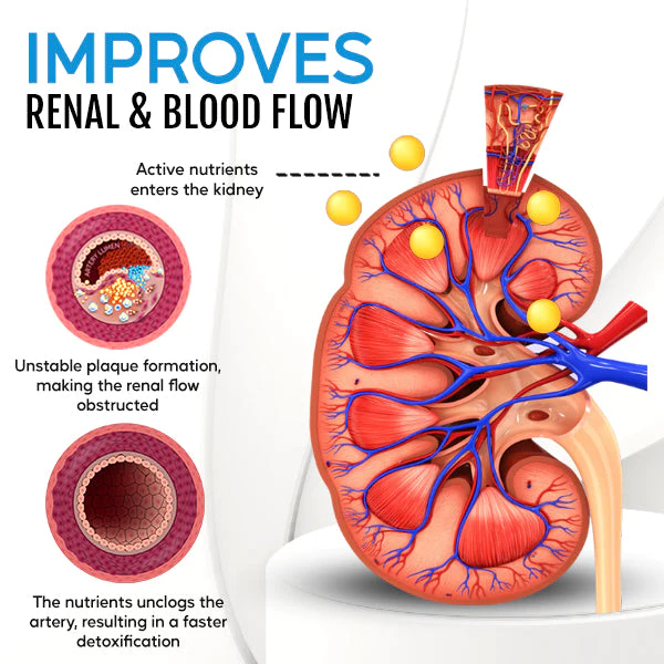 Healthtify Kidney Boost & Care Inhaler