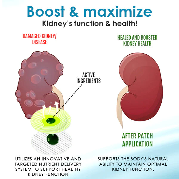 AEXZR Kidney Boost Patch