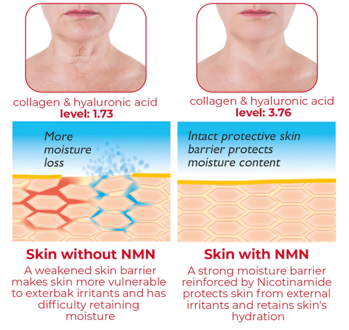 EvolvSkin Korean NMN Firming Mask