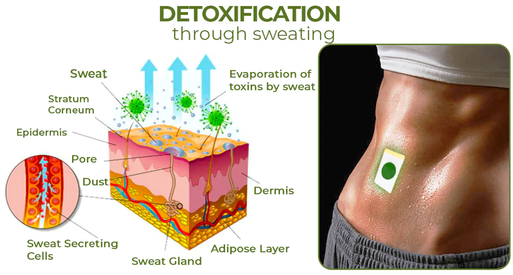 GFOUK Perfect Detox Slimming Patch