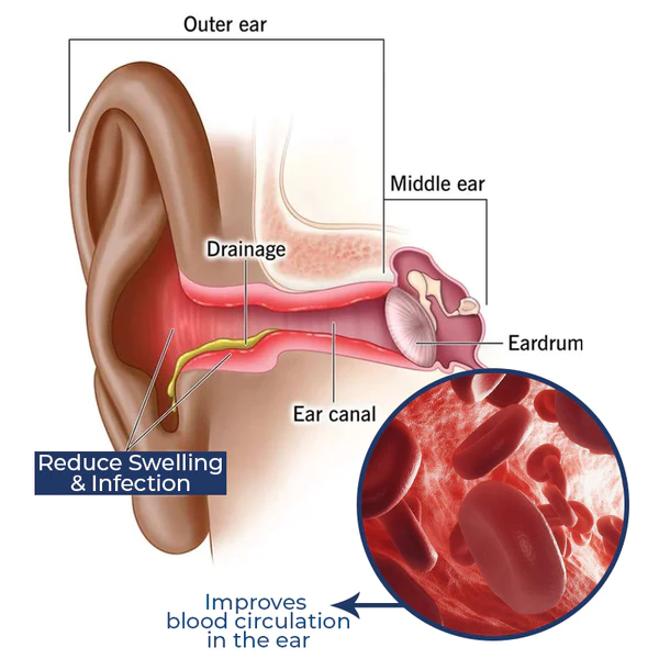 GFOUK German Cochlear Care Oil