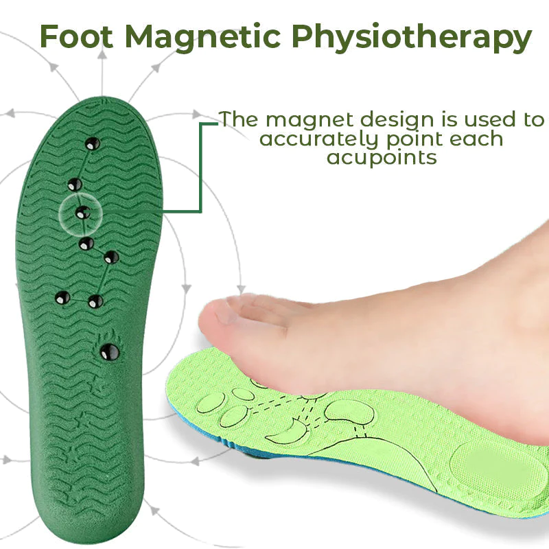 Mr. FeetŠ Inner Circulation Acupoint Massage Insole