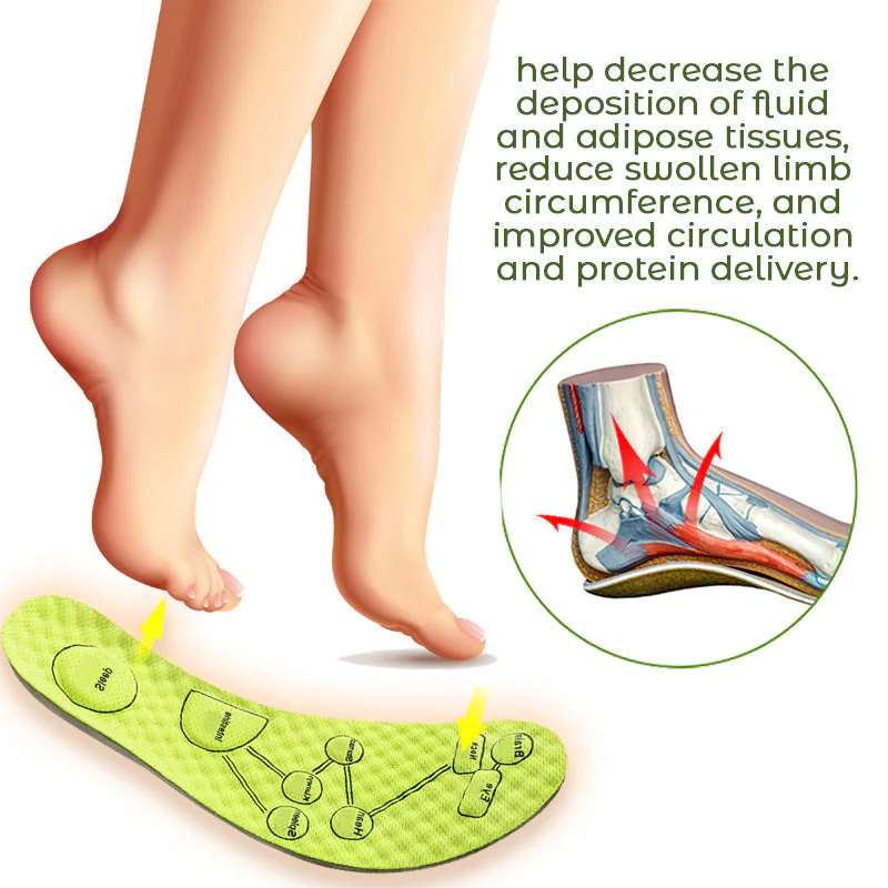 Mr. FeetŠ Inner Circulation Acupoint Massage Insole