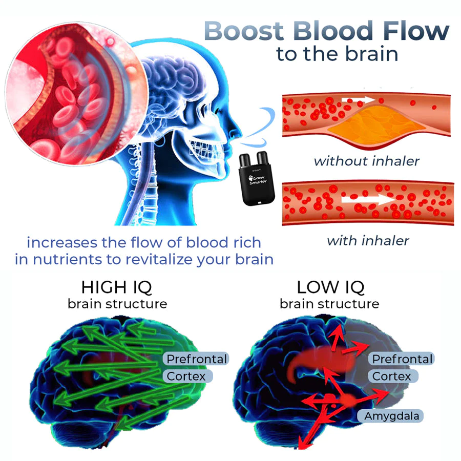 GFOUK GrowSmarter NeuroRegenerative Inhaler