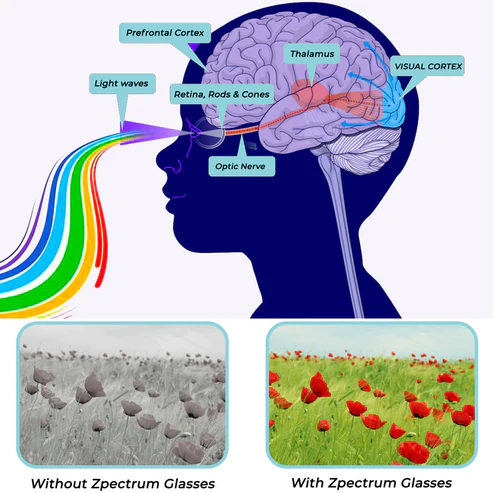 GFOUK Zpectrum Colorblind Glasses