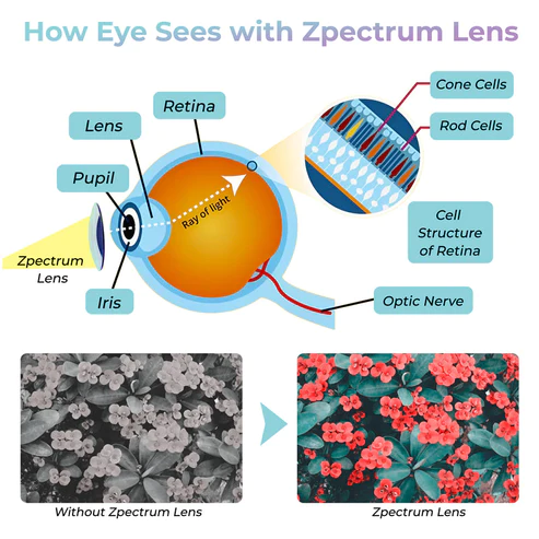 GFOUK Zpectrum Colorblind Glasses