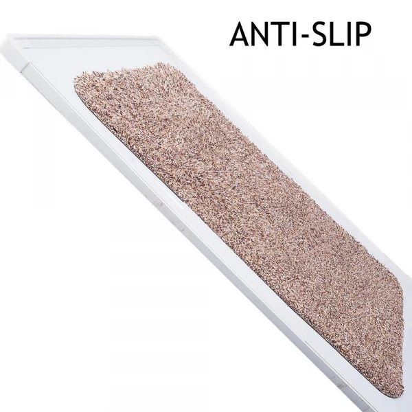 Non-Slip Magic Indoor Super Absorbent Doormat