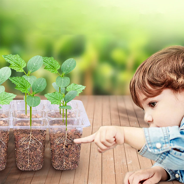 Seed Starting Trays with Grow Light