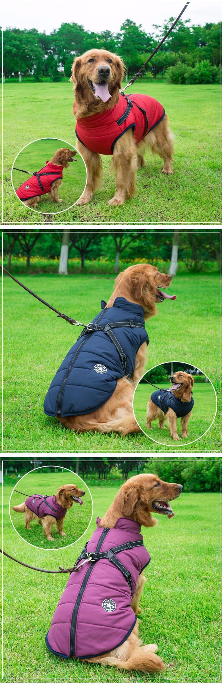 Waterproof Winter Jacket With Built-In Harness