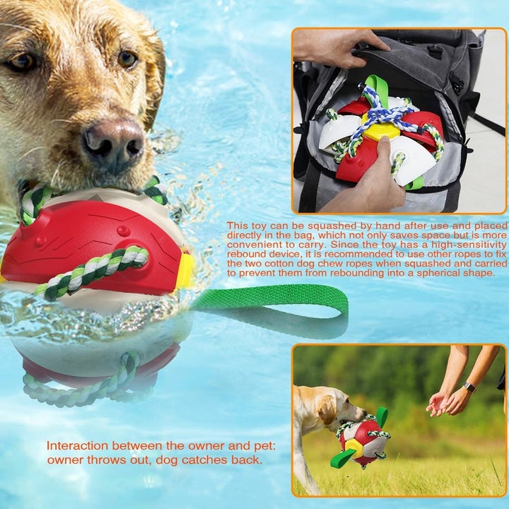 Soccer Ball Dog Toy