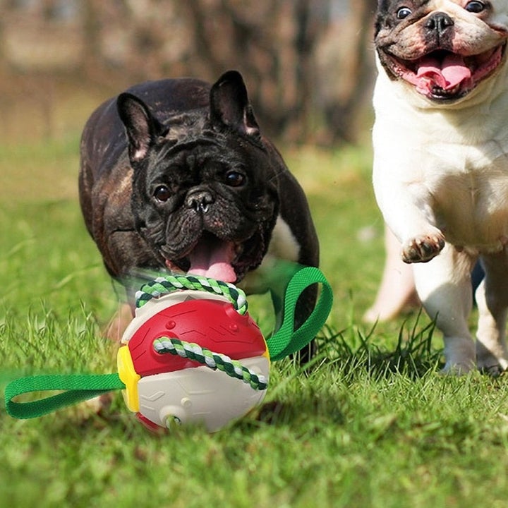 Soccer Ball Dog Toy