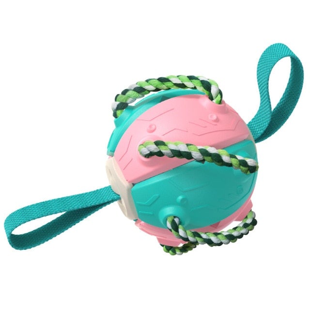 Soccer Ball Dog Toy