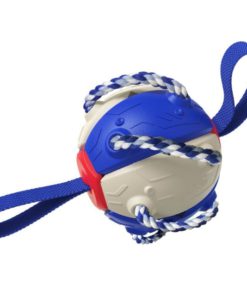 Soccer Ball Dog Toy