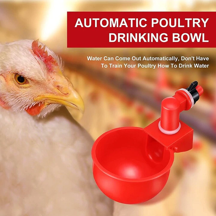 Automatic Poultry Waterer