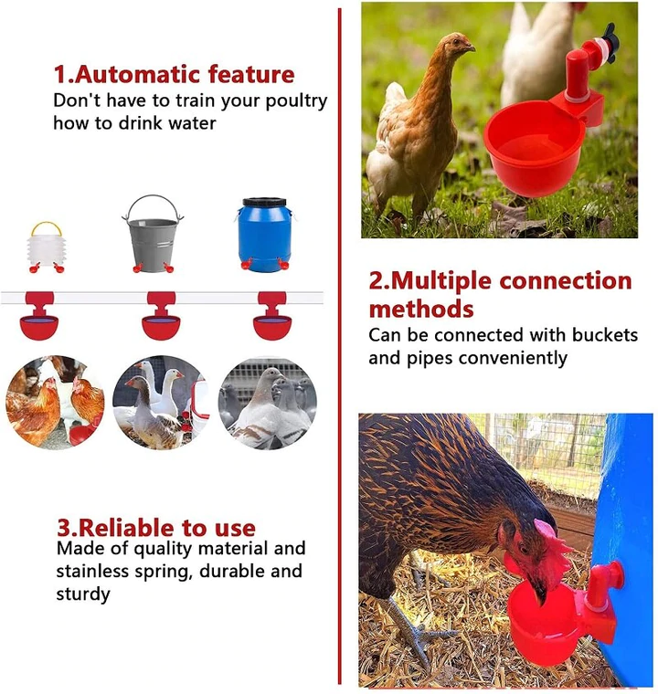 Automatic Poultry Waterer