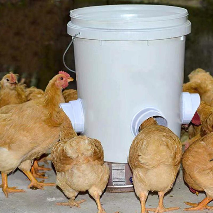 DIY Chicken Feeder