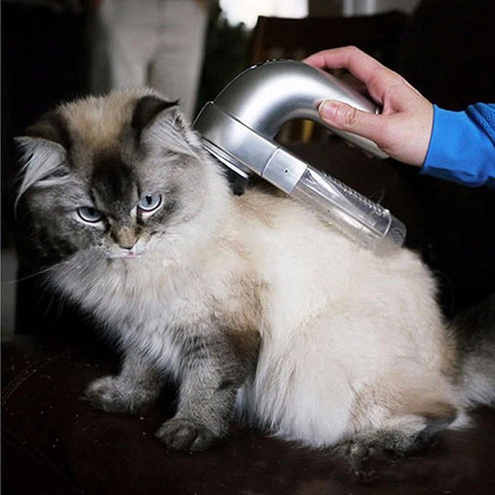 Best Handheld Vacuum For Pet Hair