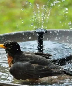 Solar Bird Bath Fountain