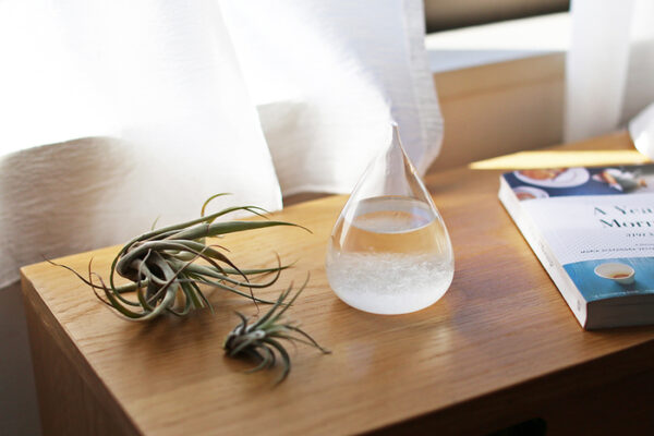 Weather Predicting Storm Glass