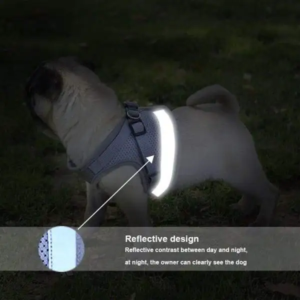 Vest Style Reflective Dog Rope