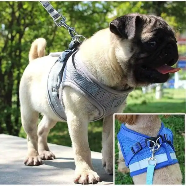 Vest Style Reflective Dog Rope